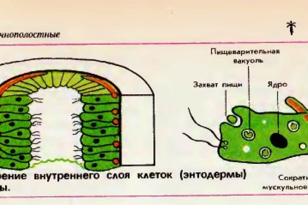 Действующая ссылка на кракен